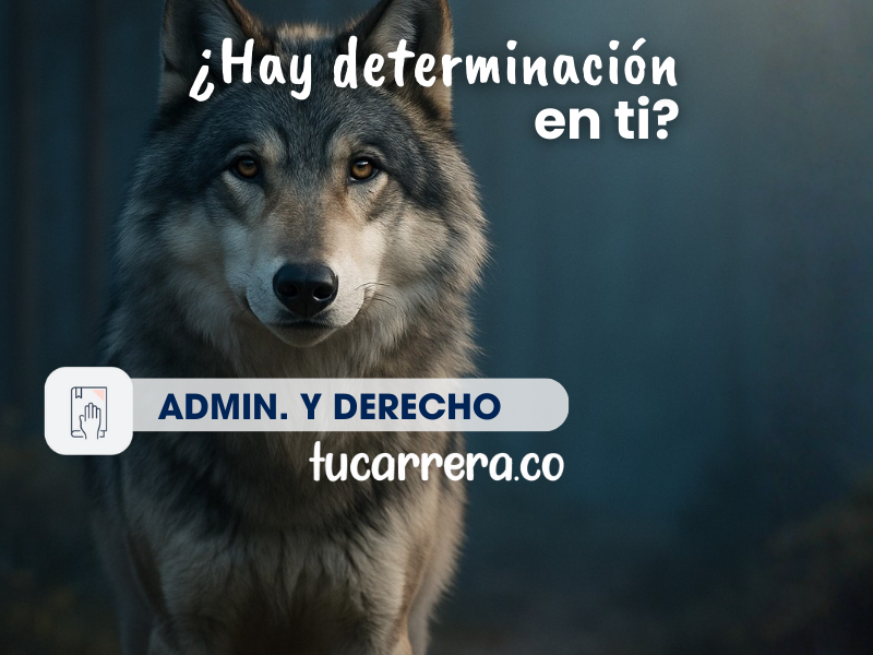Administración de Empresas y Derecho