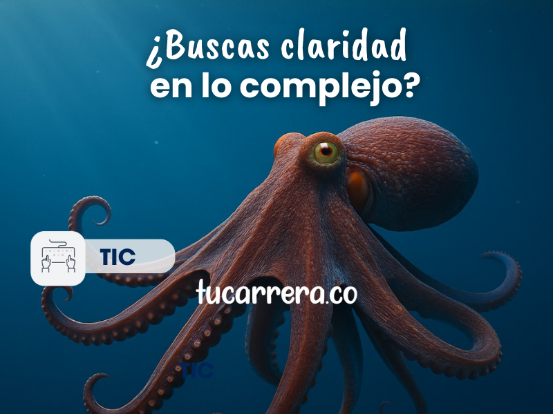 Carreras TIC