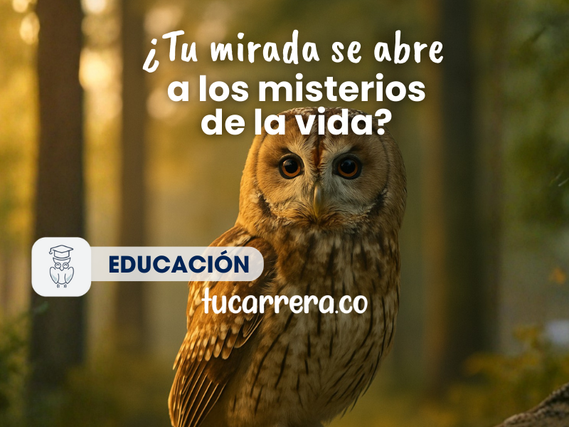 Educación
