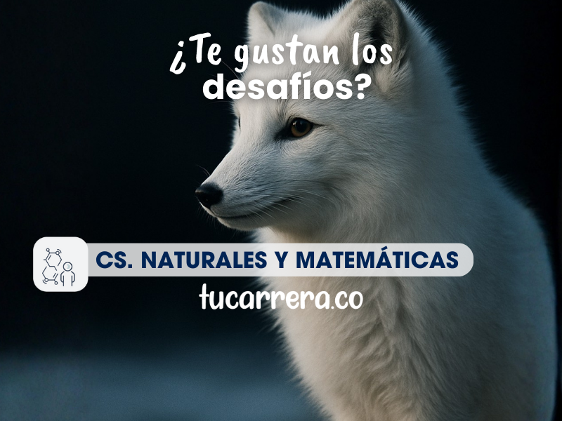  Ciencias Naturales, Matemáticas y Estadística